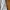 Champion Streetwear Sportswear Tracksuit Pria white photo 7