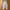 Champion Streetwear Sportswear Tracksuit Pria white photo 1