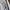 Champion Streetwear Sportswear Tracksuit Pria white photo 4