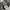 Streetwear Gorpcore Tracksuit Pria black photo 5
