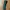 Kappa Streetwear Sportswear Tracksuit Pria green black photo 7