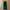 Kappa Streetwear Sportswear Tracksuit Pria green black photo 5