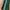 Kappa Streetwear Sportswear Tracksuit Pria green black photo 8