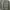 Burberry Luxury Pria Multicolor