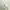 Vintage Casual Harrington jacket Pria cream photo 5