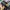 Streetwear Biker Hat Pria black photo 6
