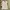 Vintage Kids white pink photo 1