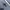 Chrome Hearts Streetwear Luxury Jeans Pria black blue photo 5