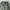 Vintage Indie Fur coat Pria white green photo 3