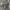 Vintage Indie Fur coat Pria white green photo 4