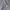Russell Athletic Vintage Casual Hoody Pria gray photo 3
