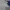Nike Vintage Casual Track jacket Pria white navy photo 4