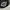 Obey Streetwear Skater Hat Pria black gray photo 1