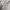 Lee Vintage Casual Sweatshirt Pria gray photo 4