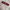 Kangol Sportswear Hoody Pria white photo 2