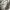Kangol Sportswear Hoody Pria white photo 4