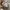 Champion Vintage Cardigan Pria gray photo 6
