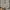Champion Vintage Cardigan Pria gray photo 5
