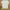 Polham Casual T-shirt Pria white photo 1