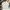 Adidas Streetwear Sweatshirt Pria White