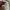 Adidas Streetwear Sweatshirt Pria white photo 4