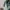 Adidas Streetwear Sweatshirt Pria white photo 3
