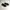 Adidas Sportswear Sneakers Pria black photo 1