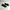 Adidas Sportswear Sneakers Pria Black