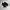 Adidas Sportswear Sneakers Pria black photo 2