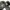 Adidas Sportswear Sneakers Pria black photo 6
