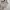 Jeep Streetwear Sportswear Sweatshirt Pria cream photo 4
