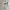 Jeep Streetwear Sportswear Sweatshirt Pria cream photo 3