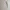 Jeep Streetwear Sportswear Sweatshirt Pria cream photo 5