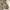 Undercover Vintage Streetwear Hoody Pria Tan