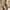 Undercover Vintage Streetwear Hoody Pria tan photo 5