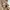 Undercover Vintage Streetwear Hoody Pria tan photo 6