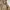 Undercover Vintage Streetwear Hoody Pria Tan