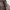 Y2K Gorpcore Windbreaker Pria brown photo 8