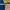Umbro Streetwear Sportswear Jersey Pria navy yellow photo 3