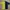 Umbro Streetwear Sportswear Jersey Pria navy yellow photo 5