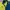 Umbro Streetwear Sportswear Jersey Pria navy yellow photo 2