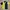 Umbro Streetwear Sportswear Jersey Pria Navy Yellow