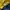 Umbro Streetwear Sportswear Jersey Pria navy yellow photo 6