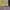 Umbro Streetwear Sportswear Jersey Pria navy yellow photo 4