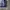 Under Armour Sportswear Suit Pria blue photo 5