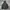 Sportswear Suit Pria black photo 1