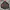 Le Coq Sportif Sportswear Suit Pria red black photo 1