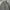 GAP Muslim Denim jacket Pria black gray photo 4