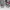 Disney Casual Track jacket Pria gray photo 2