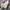 Timberland Streetwear Y2K Boots Pria gray photo 3